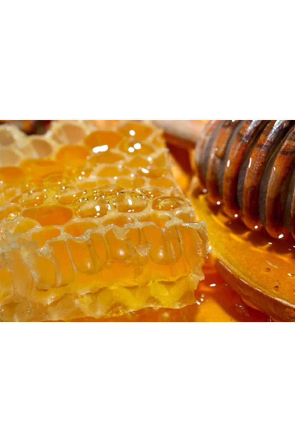 Miel de Nigelle d’Égypte - Nectar Antik - Image 4